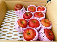 桃『初めてのアップルパイに挑戦。必ず何かは失敗する。』