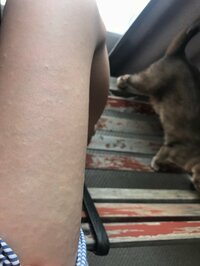 桃『謎の凸凹。』