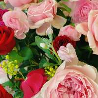 小柳ルミ子『53年前の今日　産まれた日❤️』