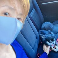 小柳ルミ子『歯医者　ご報告』