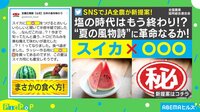 スイカ×塩の時代はもう終わり!?新しいスイカの食べ方