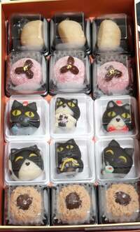 藤あや子『今年も楽しみにしていたもの』