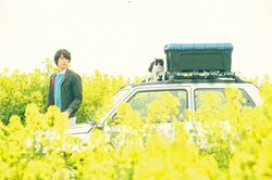 福士蒼汰主演『旅猫リポート』 おかしく、切なく、あたたかい長尺予告映像＆新場面写真解禁