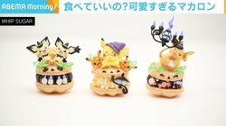 主婦が作るマカロンが「可愛すぎる」 テレ朝・住田アナも「絶妙」と熱弁