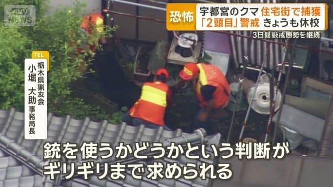 市街地を駆け回るクマの捕獲は困難