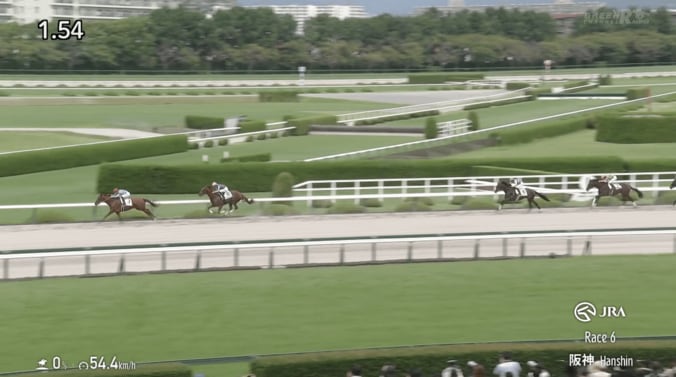 【映像】馬なりのまま先頭へ…注目ホースの「めっちゃ強い」走り