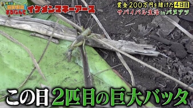 「養育費は1円もあげてない」元ゴーカイジャー俳優ら、仲間の“バツイチ告白”に衝撃 2枚目