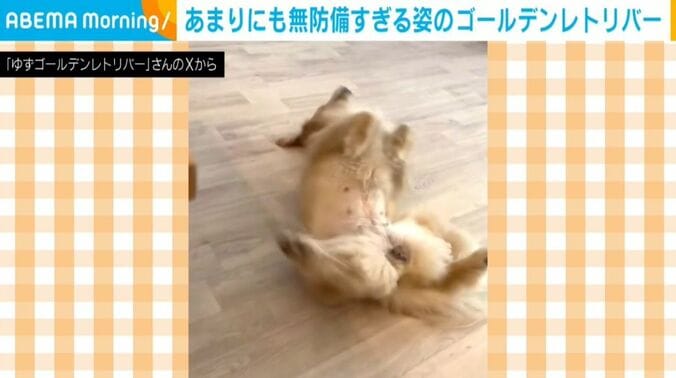 ゆずちゃん