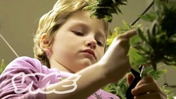 医療大麻で救われた8歳のガン患者　大麻は本物の“医薬品”になれるのか？ 4枚目