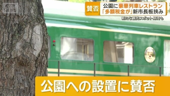 意見が割れている