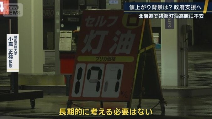 桃山学院大学　小嶌正稔教授