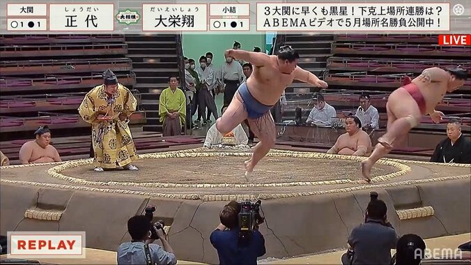 【動画】両力士が同時にぴょーん 1枚目