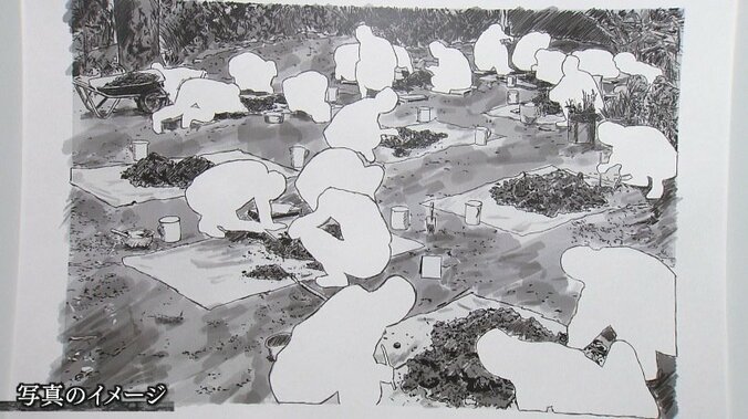 頑なに拒み続ける検察、えん罪を防ぐはずの制度が真実の追究を遠ざける…40年目を迎えた大崎事件で浮き彫りになる”再審格差” 14枚目