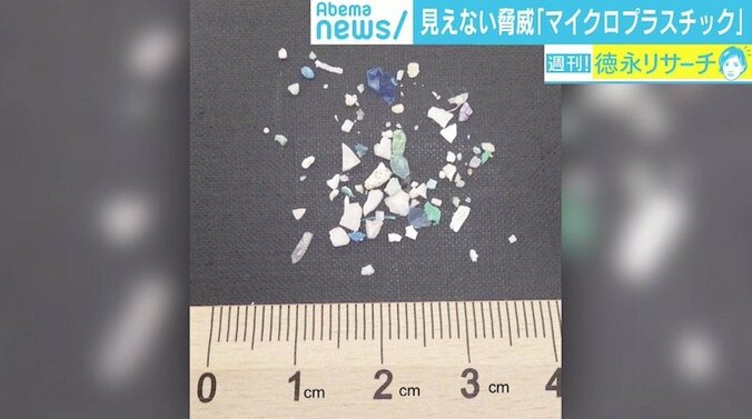 “海を殺す”マイクロプラスチック汚染、日本周辺は「ホットスポット」にも 3枚目