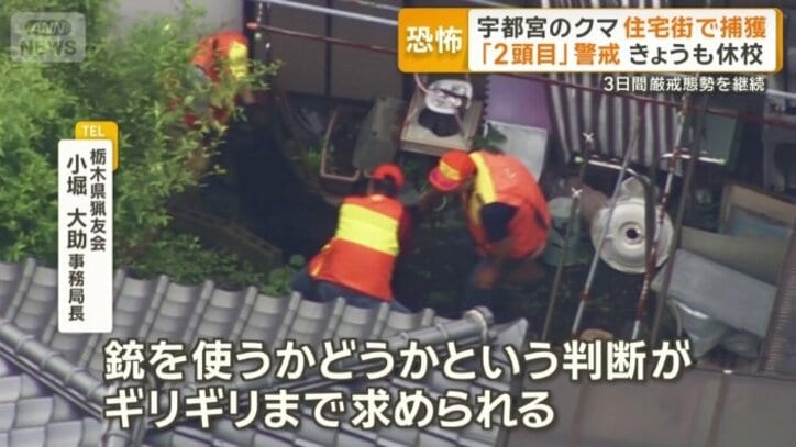 市街地を駆け回るクマの捕獲は困難