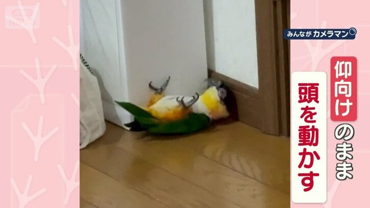 仰向けで頭を動かす