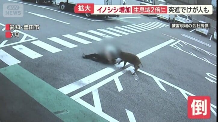 突き倒されてしまう