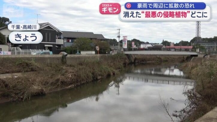 今月7日　千葉・高崎川