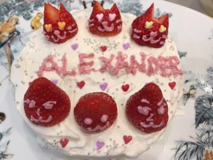 川崎希 夫 アレクへ インスタ映え する手作り誕生日ケーキをプレゼント 味も美味しく出来た 話題 Abema Times