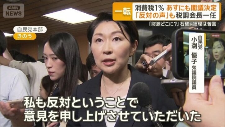 「いろいろな懸念を持っている」