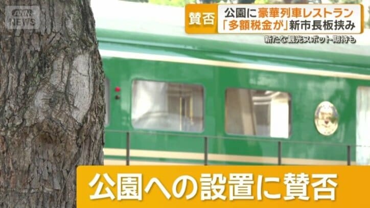 意見が割れている