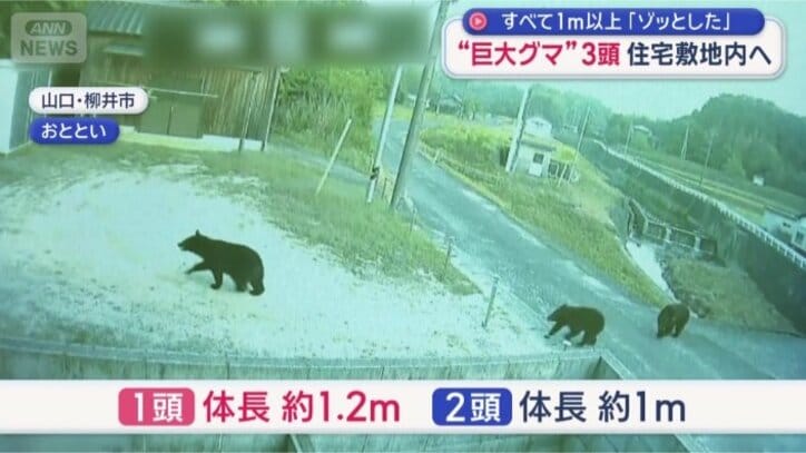 山口県柳井市の住宅