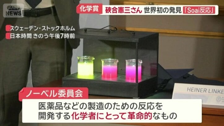 「そあい反応」と呼ばれる自己増殖のメカニズム発見
