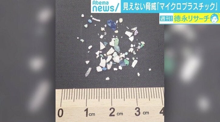 “海を殺す”マイクロプラスチック汚染、日本周辺は「ホットスポット」にも