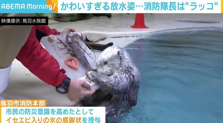 放水姿が「悪魔のような可愛さ」 消防隊長は“ラッコ” 地元の消防本部から氷の感謝状も