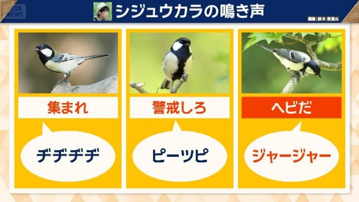 200以上のパターンがある