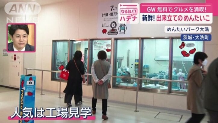 人気は工場見学