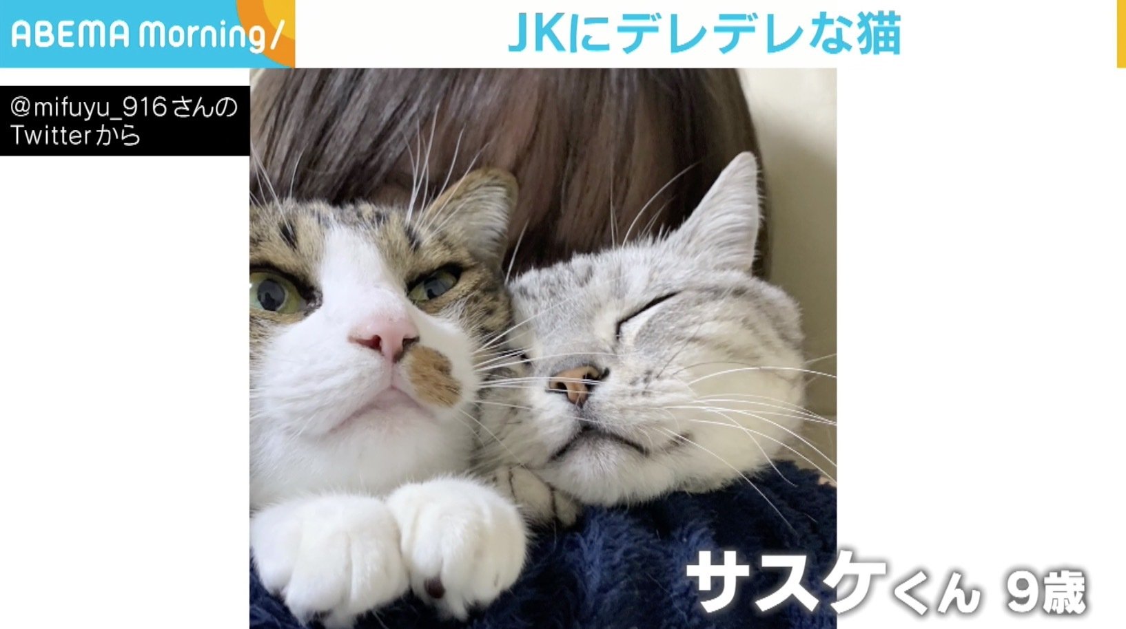 抱っこされた猫の表情が母娘で大違い 話を聞くと 娘が 絶対この子 と譲らなかった 経緯が 話題 Abema Times