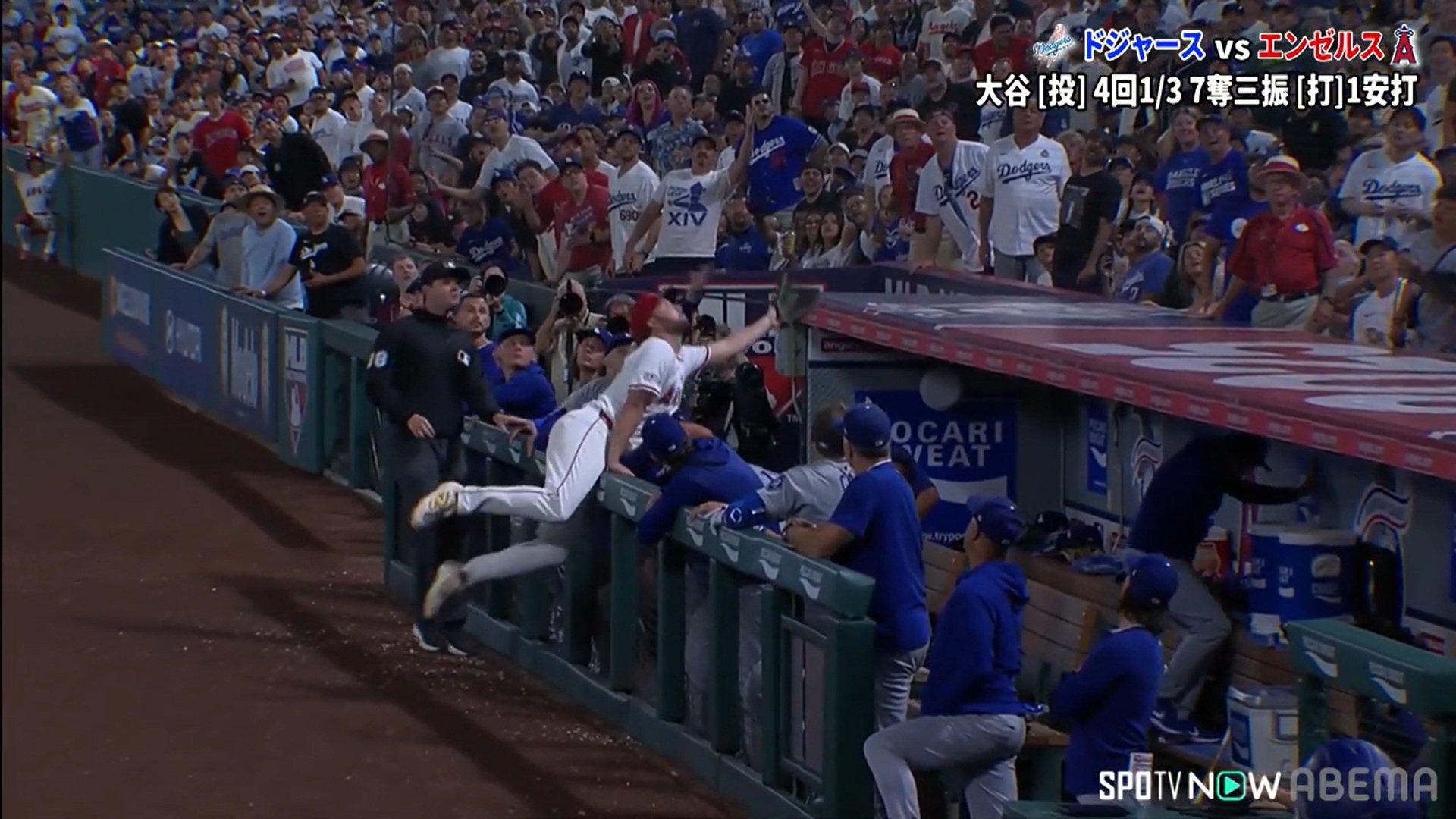 【写真・画像】 1枚目