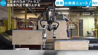 話題の動画ニュース - ニ足歩行ロボ“アトラス” 段差を片足で蹴り上がる (16日配信) | 動画視聴は【Abemaビデオ(AbemaTV)】