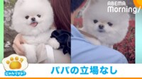 【映像】抱っこをされて“露骨”に態度を変える犬