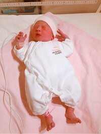 高村直樹『5人目が生まれました！』