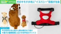 【映像】愛犬の感情を知る「イヌパシー」とは