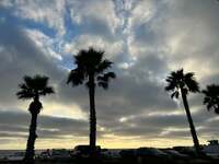 Seiko Darvish『退院後毎日出歩く』