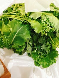 渡辺美奈代『ママ友から頂き物』