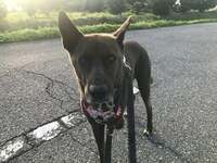 坂上忍『今朝のサンタ』