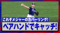 【映像】”凄い”を連呼してしまうリズミカルなカバープレー