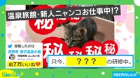 【映像】お客様のために研修をする看板猫