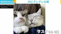 抱っこされた猫の表情が母娘で大違い 話を聞くと「娘が『絶対この子！』と譲らなかった」経緯が