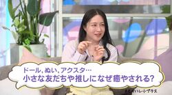 犬山紙子氏、飲んだくれアラサー時代の孤独を救った「シル活」告白…私物コレクションも披露