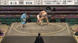 19歳の191センチ巨漢力士、“しょんぼり”な後ろ姿 落胆ぶりを物語る大きな背中に励ましの声