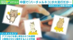 中国で話題の「バーチャル猫」珍しい猫には1200万円以上の高値 人気の裏で6000人以上の詐欺被害も