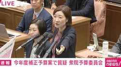れいわ議員「ちょちょちょちょ、なんで手挙げてるんですか？ ルール知ってるんですか？」「でも委員長ちょっと待って！」立ち上がり指さし怒り…“教員の休憩時間”めぐり松本大臣もヒートアップ 