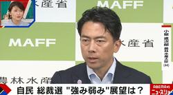 金子恵美氏、“ポスト石破”有力候補の小泉進次郎氏に「期待感が下がってしまうかもしれない」「要職で経験を積んでからの方が…」