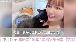 中川翔子、難病を患っていた“愛する家族”の現状を報告「致死率99％、3回も危篤になり、ついに今日の検査で寛解しました！」