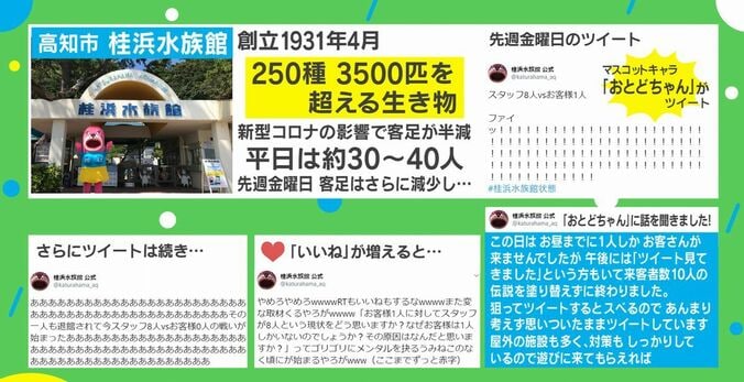 まさかの客1人！？水族館の自虐ツイートが話題に「スタッフ8人vsお客様1人 ファイッ！！」 2枚目